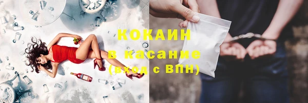 гашик Семилуки