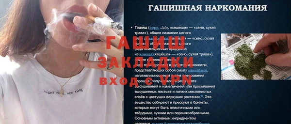 гашик Семилуки